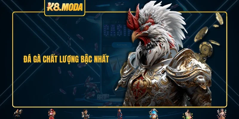 Đá gà chất lượng bậc nhất