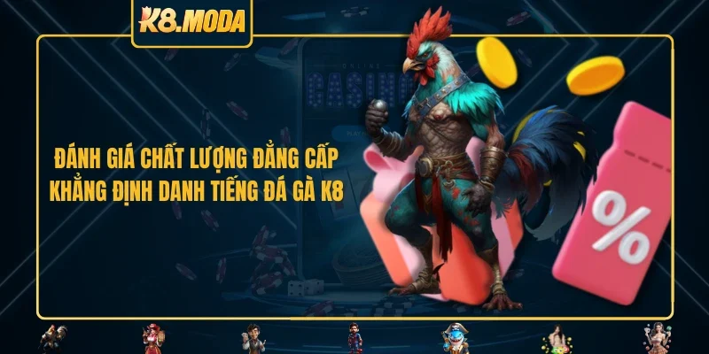Đánh giá chất lượng đẳng cấp khẳng định danh tiếng đá gà K8