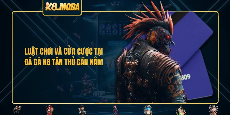Luật chơi và cửa cược tại đá gà K8 tân thủ cần nắm
